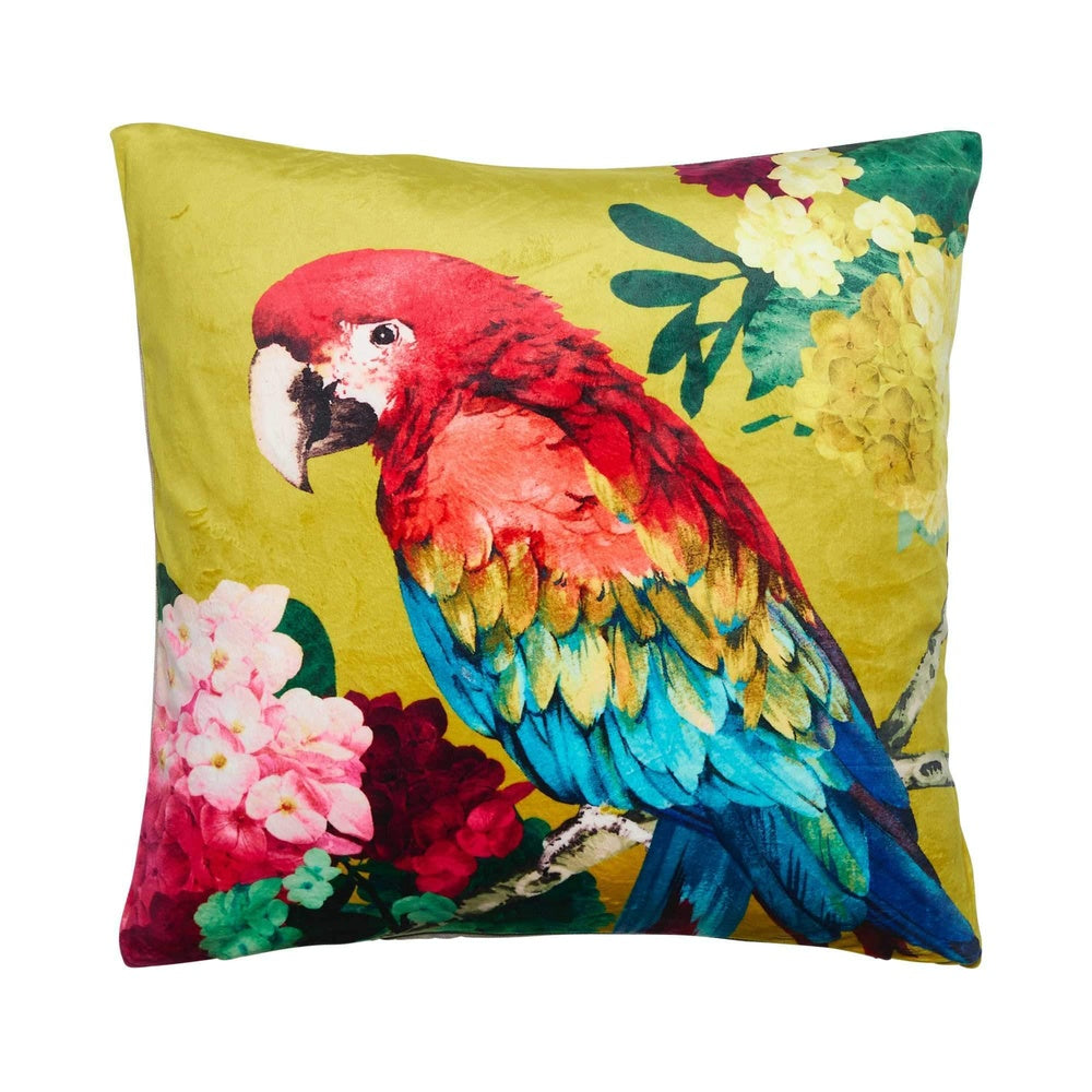 Chintz Parrot Square 50x50cm Velvet Cushion Cover