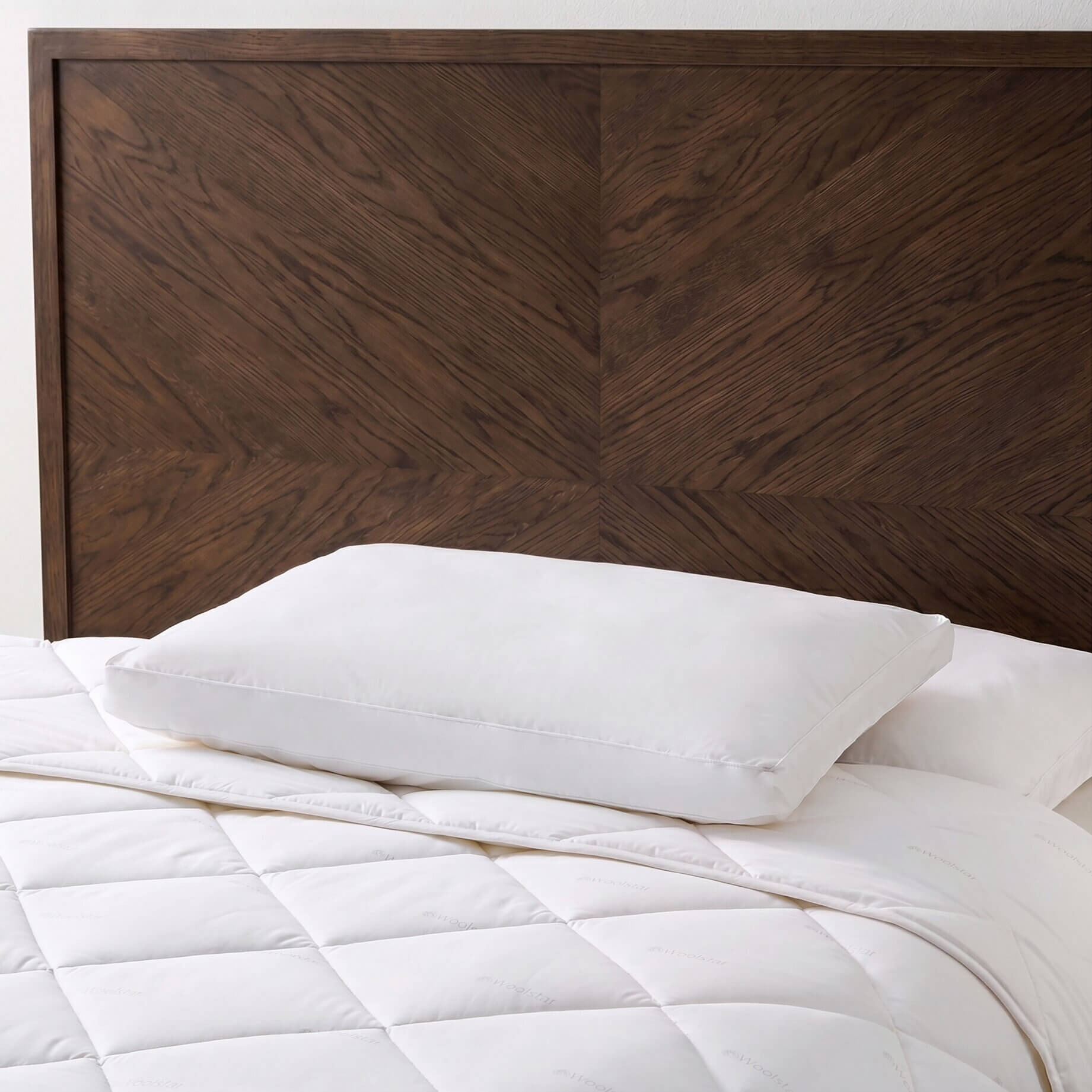 Holborn Eco Pure Wool Pillow (Medium Profile)