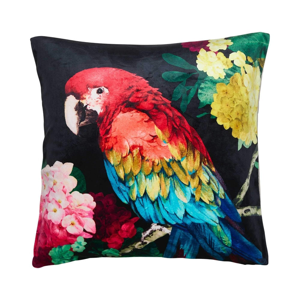 Chintz Parrot Square 50x50cm Velvet Cushion Cover